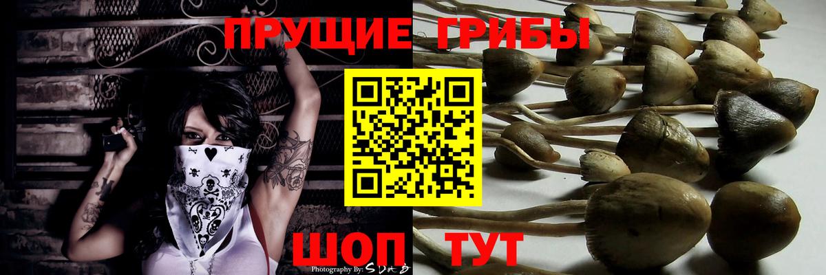 Псилоцибиновые грибы ЛСД  Вход с VPN  Омск 
