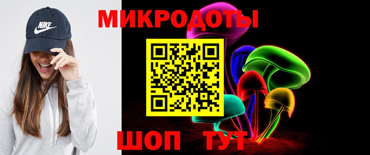 Псилоцибиновые грибы Psilocybine cubensis Омск